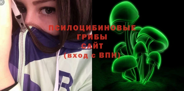 марки nbome Белокуриха