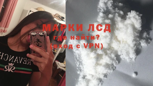 стаф Нея