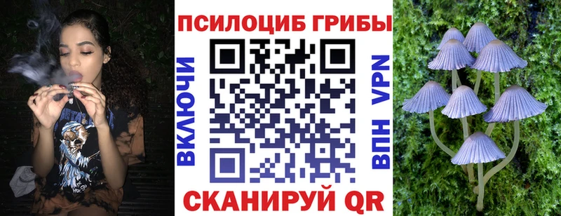 Псилоцибиновые грибы Cubensis продажа наркотиков Белокуриха